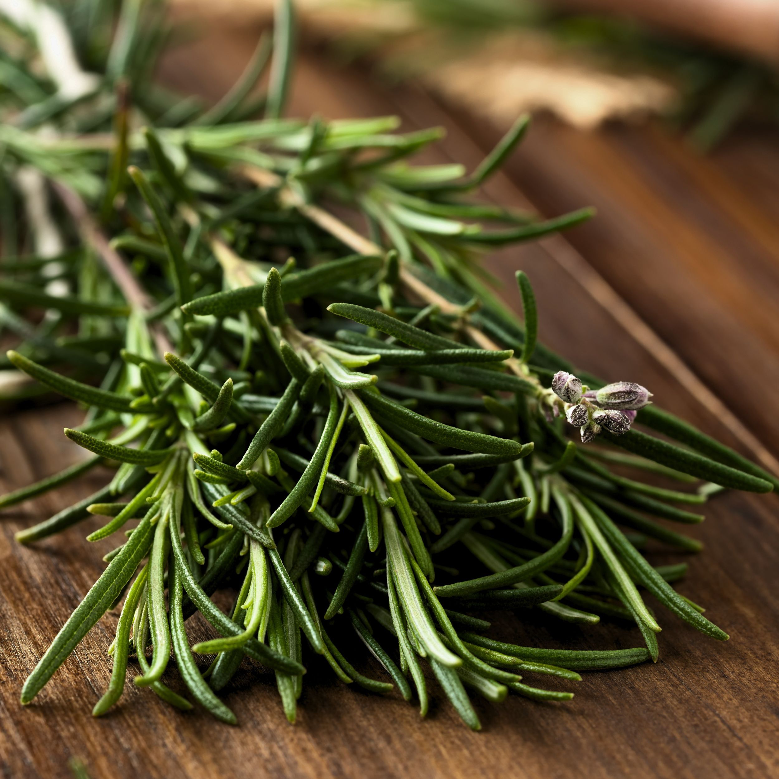 Fresh rosemary sprigs on a wooden surface